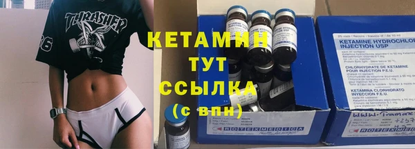 хмурый Аркадак