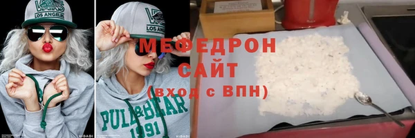 хмурый Аркадак