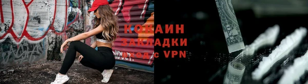 соль ск Арсеньев
