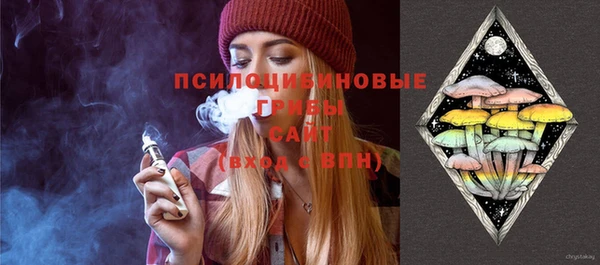 хмурый Аркадак