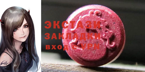 хмурый Аркадак