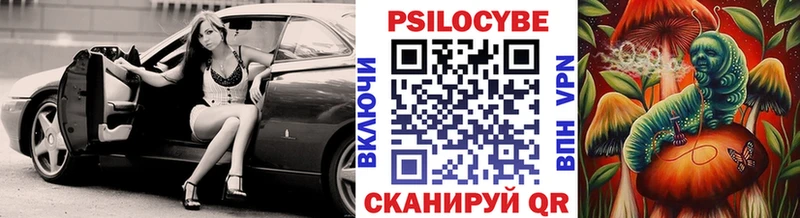 купить закладку  Кинель  Галлюциногенные грибы MAGIC MUSHROOMS 