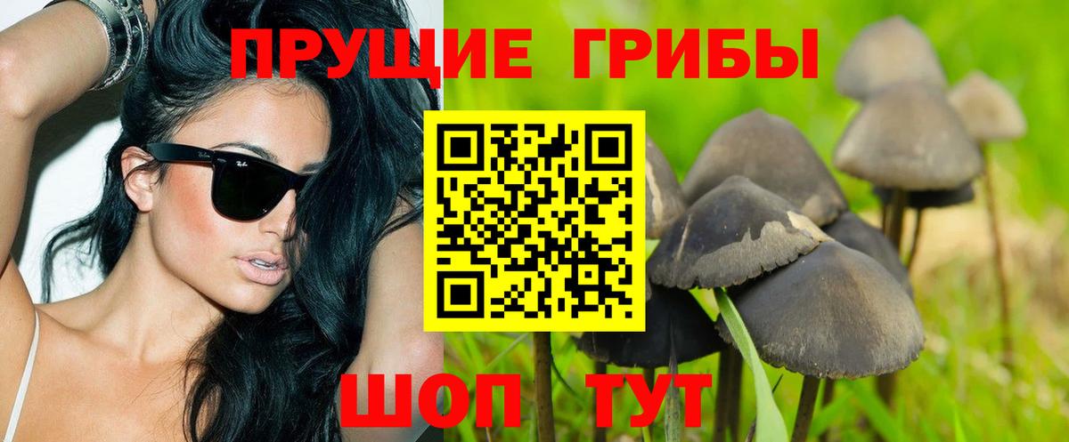 Галлюциногенные грибы мухоморы Кинель