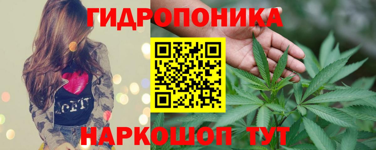 Кинель  Конопля конопля  Вход с VPN  Бошки Шишки семена 
